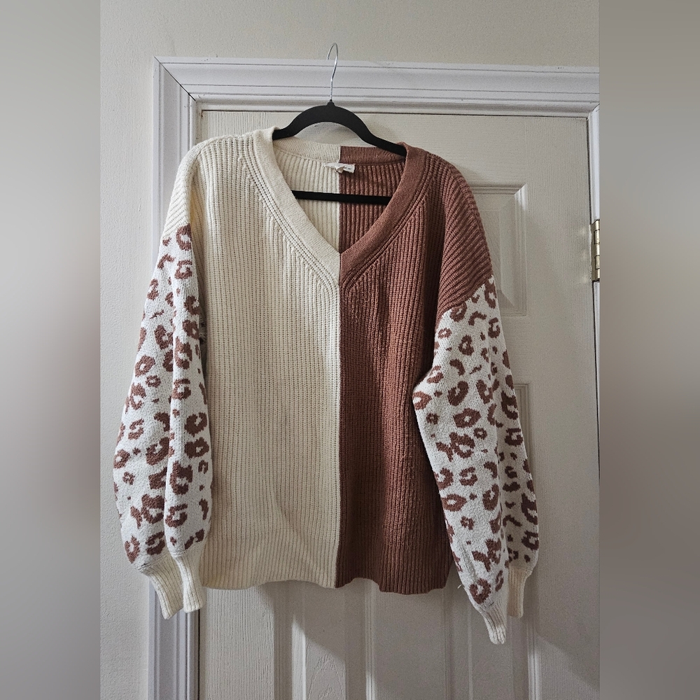 eesome Two-Tone Leopard V-Neck Sweater